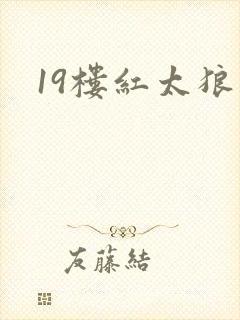 19楼红太狼