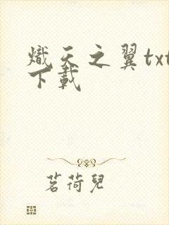 炽天之翼txt下载