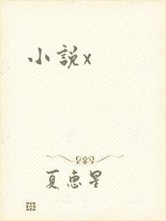 小说x