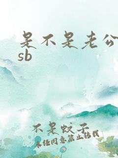 是不是老公的小sb