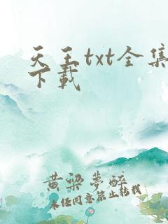 天王txt全集下载