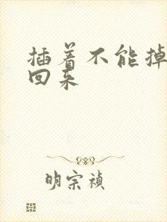 插着不能掉等我回来