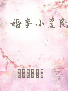 婚事小农民
