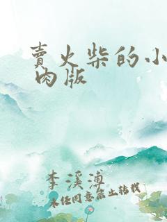 卖火柴的小男孩 肉版