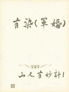 有染(军婚)