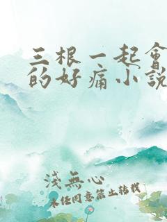 三根一起会坏掉的好痛小说