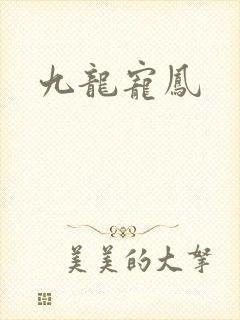 九龙宠凤