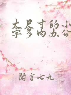 大尺寸的小黄说字多肉办公室