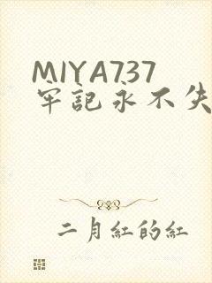 MIYA737牢记永不失联