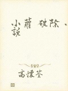 小萝 破除 小说