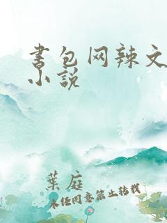 书包网辣文全本小说