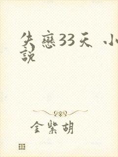失恋33天 小说