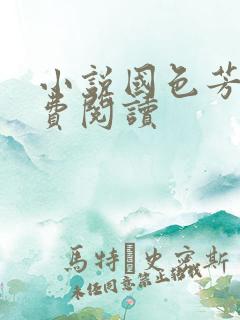 小说国色芳华免费阅读