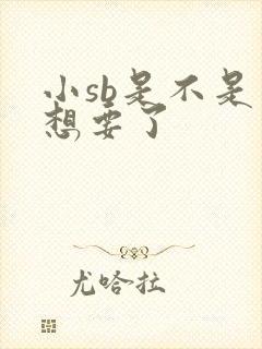 小sb是不是又想要了