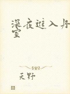 深夜进入丹丹卧室