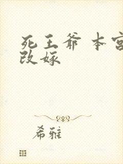 死王爷 本宫已改嫁