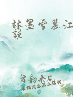 林墨雪慕江行小说