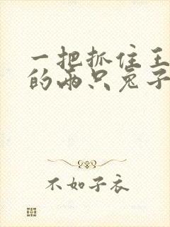 一把抓住王昭君的两只兔子