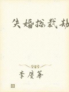 失婚总裁劫前妻