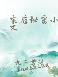 家庭秘密小说全文