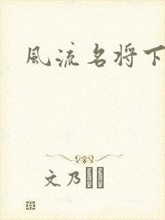 风流名将下载