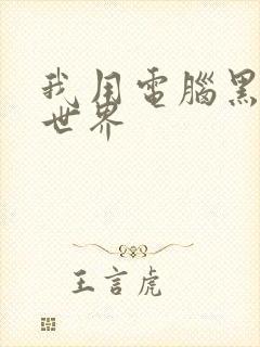 我用电脑黑了全世界