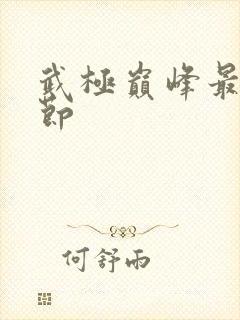 武极巅峰最新章节