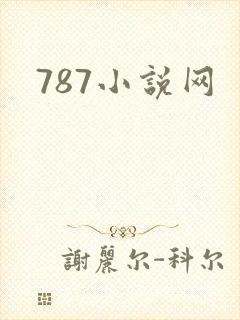 787小说网