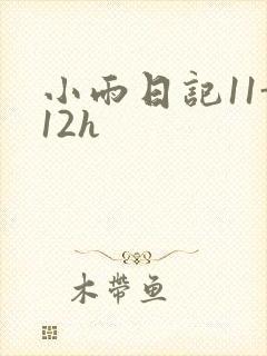 小雨日记11-12h