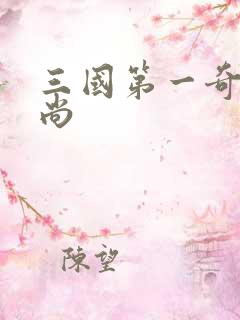 三国第一奇兵袁尚