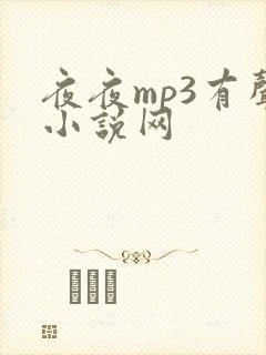 夜夜mp3有声小说网