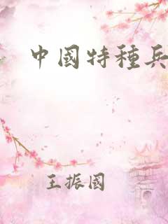 中国特种兵小说