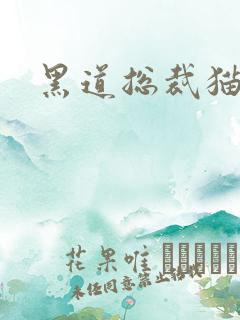 黑道总裁猫咪妻