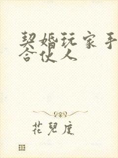 契婚玩家手册之合伙人