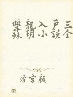 双龙入户三人行苏玥小说全文阅读