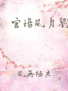 官场风月刘明强