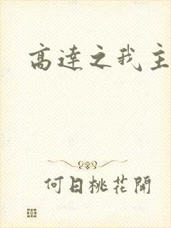 高达之我主沉浮