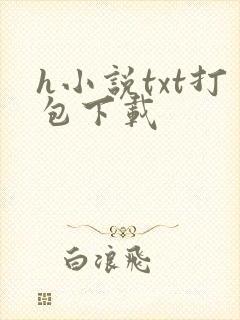 h小说txt打包下载