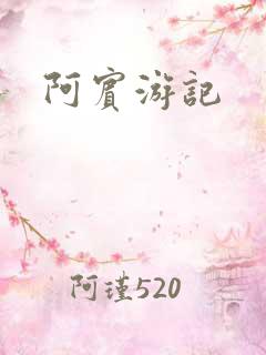 阿宾游记