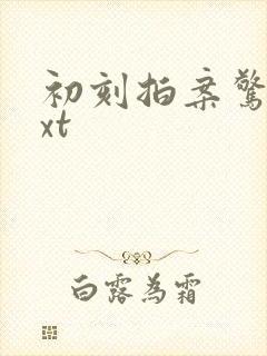 初刻拍案惊奇txt