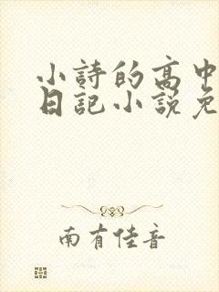 小诗的高中成长日记小说免费阅读