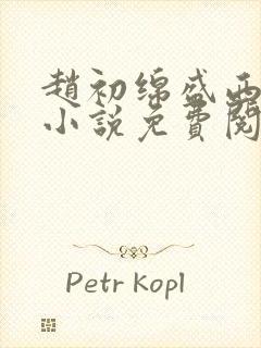 赵初绵盛西舫的小说免费阅读