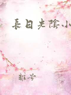 长日光阴小说