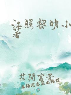 江照黎明小说原著