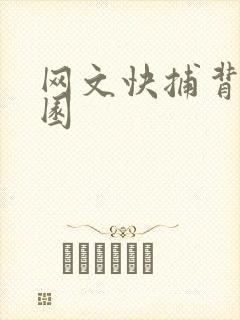 网文快捕背影家园