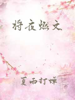 将夜燃文