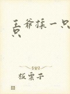 王爷揉一只舔一只