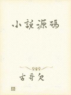 小说源码