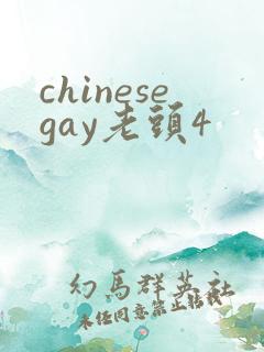 chinesegay老头4