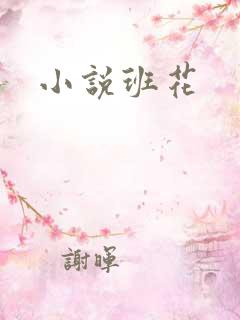 小说班花
